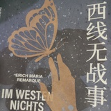 杀猪盘之王