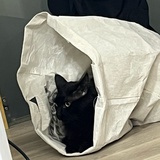 乱码
