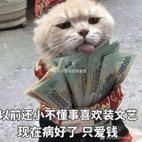 CrazyLJJ