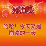 TF家族-张大大
