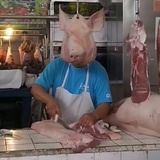 甲乙