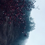天青色等烟雨