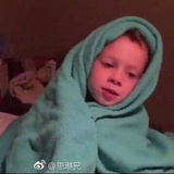 阿蠢的狗