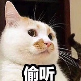 霁