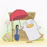 仙子狗尾巴花