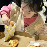 开始了