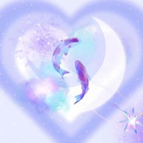 有限幻想tt