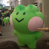 苔