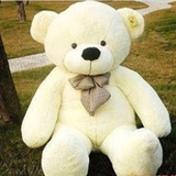 Eleanor_cx