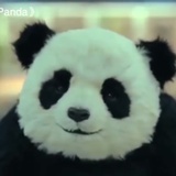 隔壁老刘