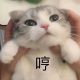 折纸