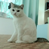木世界      .