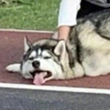 不知道叫啥就=)