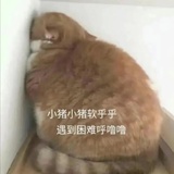 ~