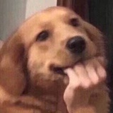 串串鱼蛋丸