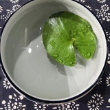 熙