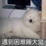 吴雩