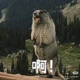 先买再说还能退