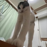 心情是死机