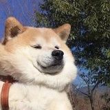 铁板鱿鱼丝