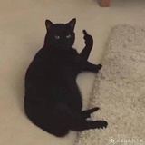 nsgebcjwh