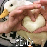 有趣的苟