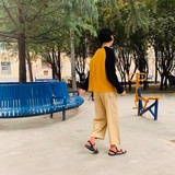 拘谨的猫Sonja