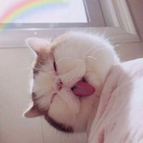 暴躁星人⭐