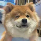 睡觉也很