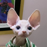 不耐烦