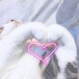 菘子吖
