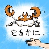 它系卡尼