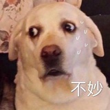 林林林空树藏空