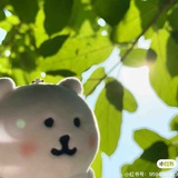 闪光粘液生物