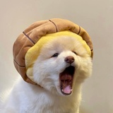 睡了还想睡