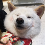 Dòudou