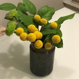 秉烛夜游