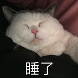 洞察一切的耳朵