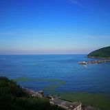 蓝色的风