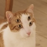 呵呵