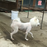 少熬夜