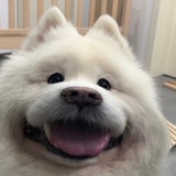 急支糖浆