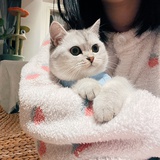 圆圆脸