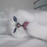 Jessicaaa_z
