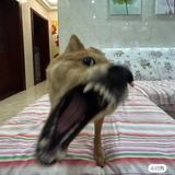 地球外