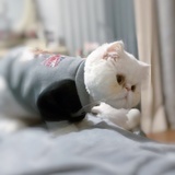 豆友183289798