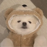 tsukii
