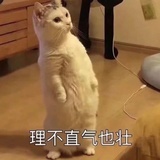 莉莉安