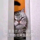 大猪蹄子