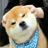 讨厌(T ^ T)